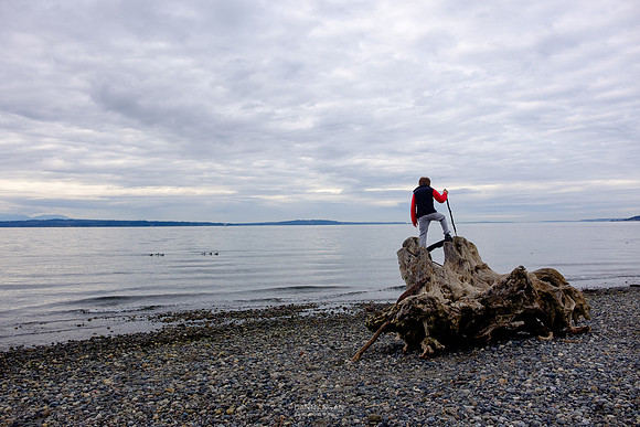 Triumphant at Carkeek Park. Seattle, WA. March 2016.