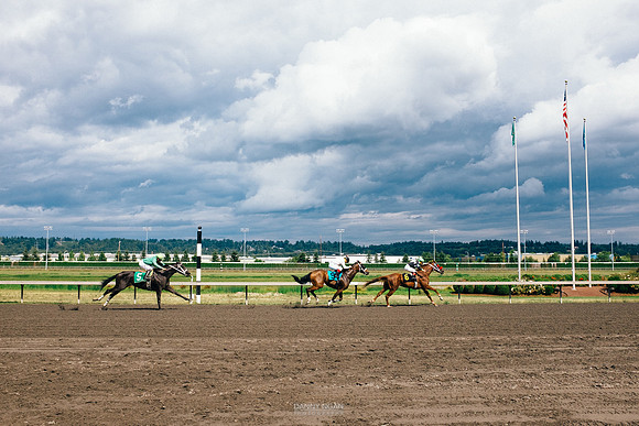 The top 3 horses race towards the finish line at Emerald Downs.
