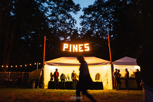 The Pines at Marymoor Park. Redmond, WA. July 2016.