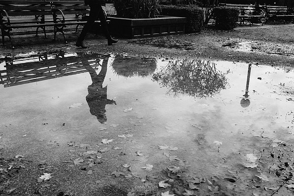 Walking reflection. Seattle, WA. October 2016.