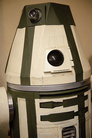 Star Wars Day