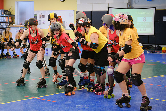 Stunflowers vs. Evil Angels